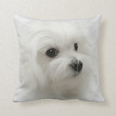 Hermes The Maltese Pillow Cushion