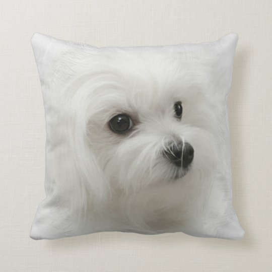 maltese pillow