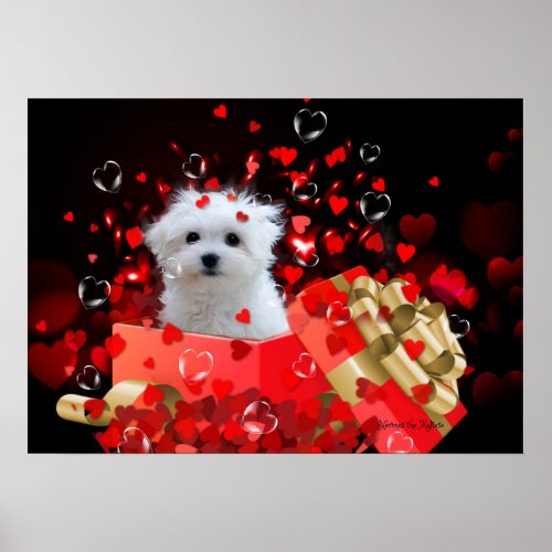 Hermes the Maltese Poster