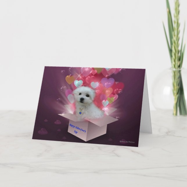 Hermes the Maltese Valentine Card (Front)