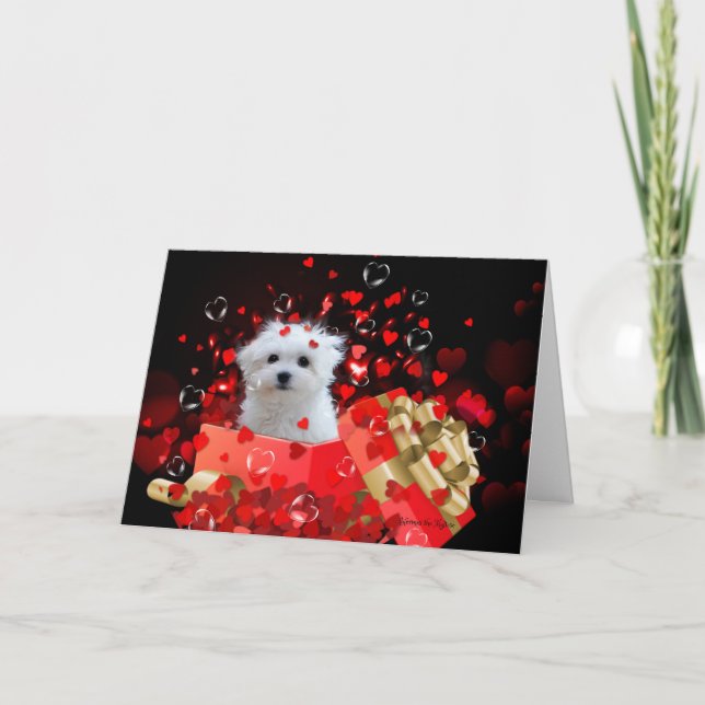Hermes the Maltese Valentine Greeting Card (Front)