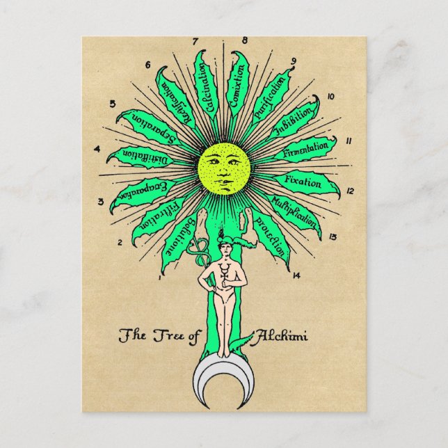 Hermes Tree of Alchemy Mandala Postcard (Front)
