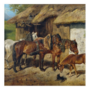 Hermine Biedermann Harnessed Horses at the Stab Acrylic Print