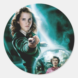 Hermione Granger and Professor Umbridge Classic Round Sticker