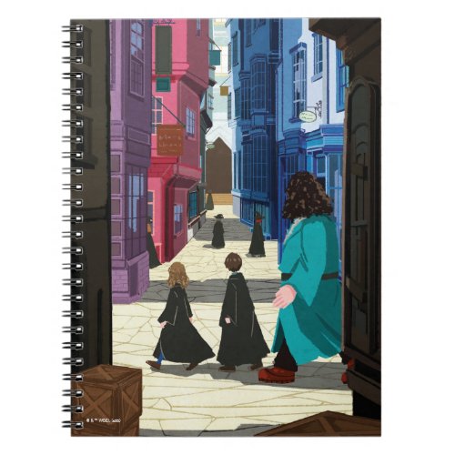 Hermione HARRY POTTER  Hagrid in Diagon Alley Notebook