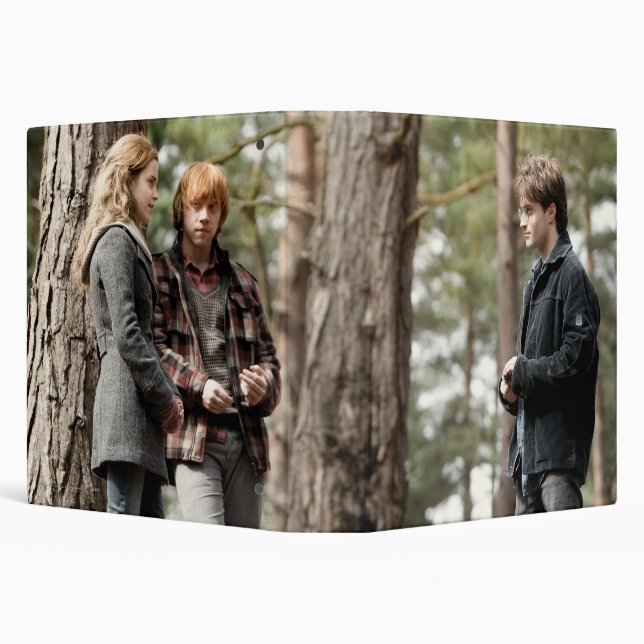 Hermione, Ron, and Harry 2 Binder (Background)