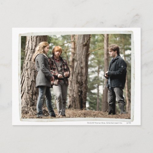 Hermione Ron and Harry 2 Postcard