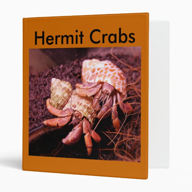 Hermit Crab Avery Binder (Front/Inside)