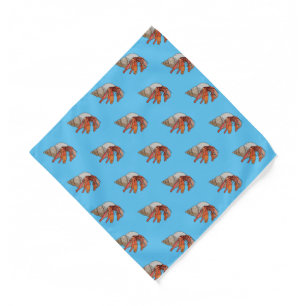 Hermit crab cartoon illustration bandana