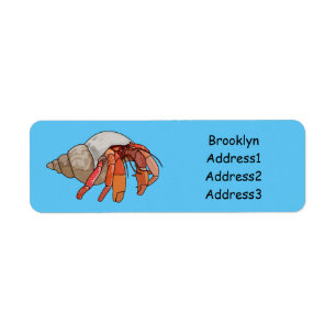 Hermit crab cartoon illustration label