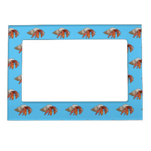 Hermit crab cartoon illustration magnetic frame