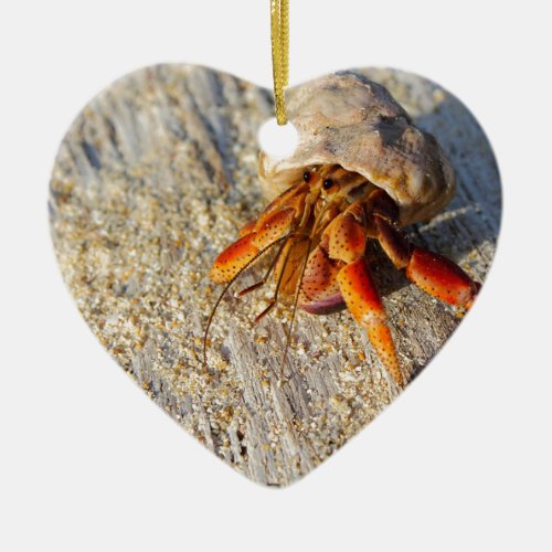 Hermit Crab Ceramic Ornament