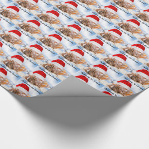 Hermit Crab Christmas Small Wrapping Paper