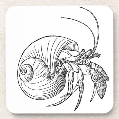 Hermit Crab Illustration line art Drink Coaster