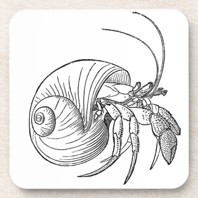 Hermit Crab Illustration (line art) Drink Coaster (Front)