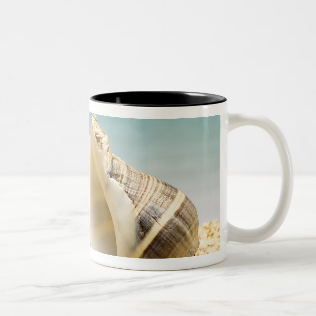 Hermit crab looking at larger shell Two-Tone coffee mug (Right)