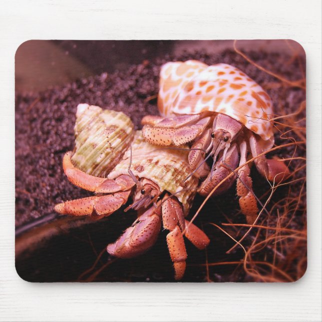 Hermit Crab Mousepad (Front)