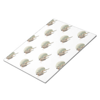 Hermit Crab Notepad