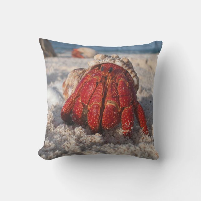 Hermit Crab on the Beach Throw Pillow (Front)