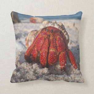 Hermit Crab on the Beach Throw Pillow