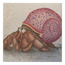 Hermit Crab Party