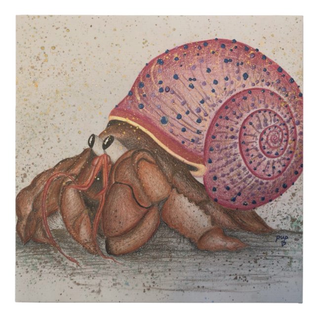 Hermit Crab Party Faux Canvas Print (Front)