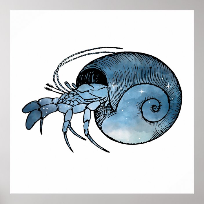 Hermit Crab Poster | Zazzle