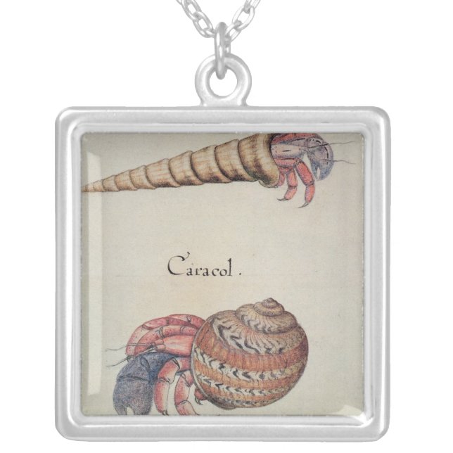 Hermit Crab Silver Plated Necklace (Front)