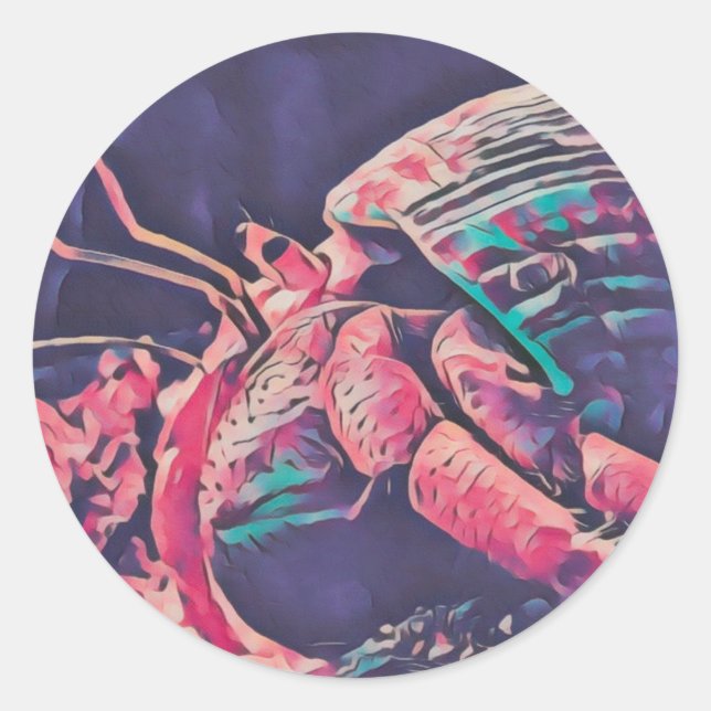 Hermit Crab Sticker  (Front)