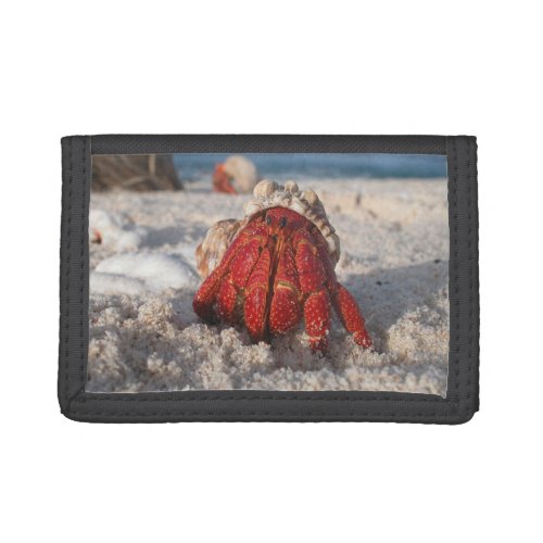 Hermit Crab Trifold Wallet
