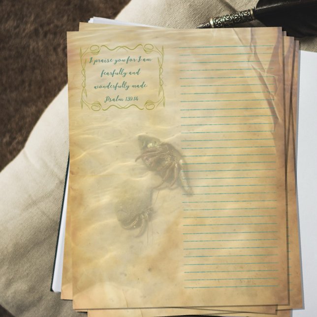 Hermit Crabs Scripture Scrapbook Paper (Creator Uploaded)