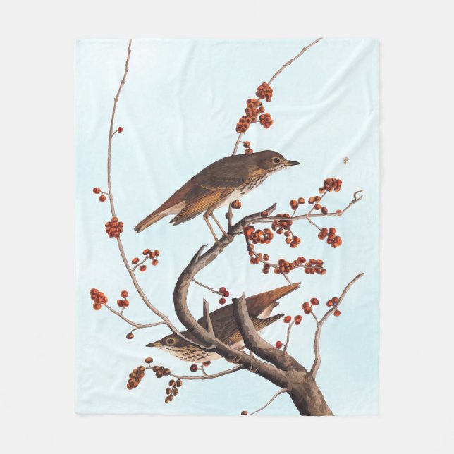 Hermit Thrush Audubon Bird with Red Berries Fleece Blanket (Front)