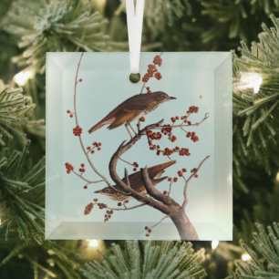 Hermit Thrush Audubon Bird with Red Berries Glass Ornament