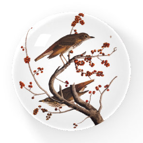 Hermit Thrush Audubon Bird with Red Berries Paperweight