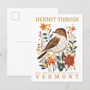 Hermit Thrush Bird of Vermont Travel Postcard
