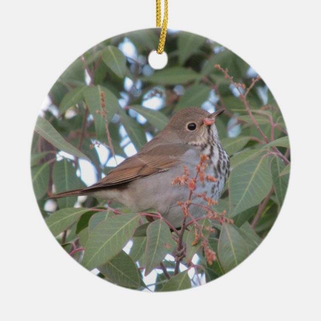 Hermit Thrush Ceramic Ornament (Front)