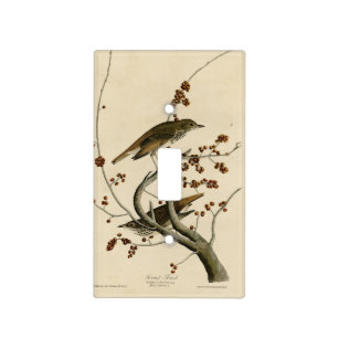 Hermit Thrush from Audubon's Birds of America Light Switch Cover