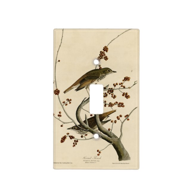 Hermit Thrush from Audubon's Birds of America Light Switch Cover (Front)