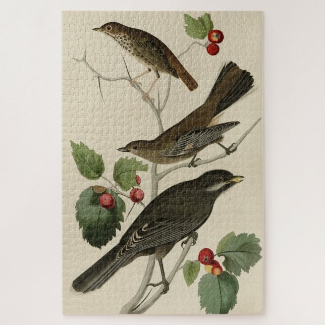 Hermit Thrush, Gray Jay Audubon's Birds of America Jigsaw Puzzle (Vertical)