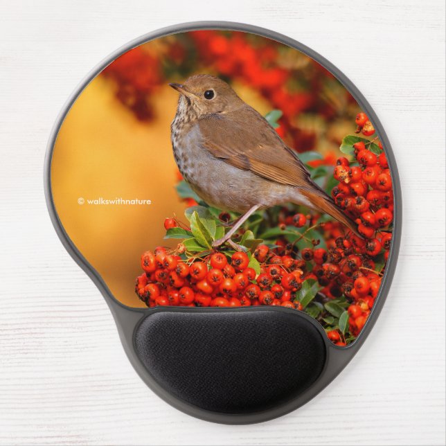 Hermit Thrush Songbird on Scarlet Firethorn Gel Mouse Pad (Front)