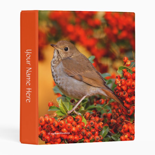 Hermit Thrush Songbird on Scarlet Firethorn Mini Binder (Front/Spine)