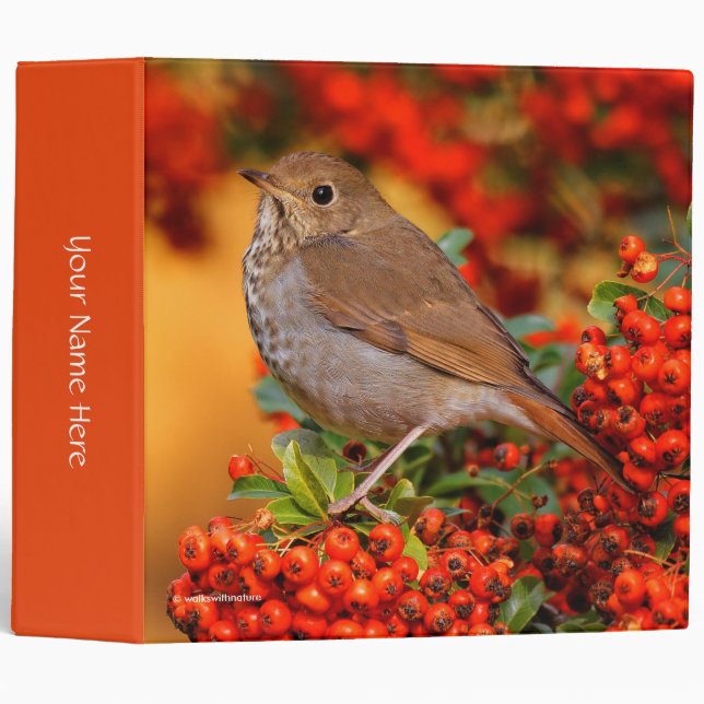 Hermit Thrush Songbird on the Scarlet Firethorn 3 Ring Binder (Front/Spine)