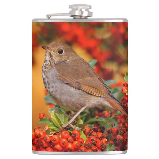 Hermit Thrush Songbird on the Scarlet Firethorn Flask (Front)