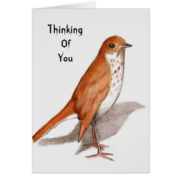 Hermit Thrush Watercolor Thinking of You Card