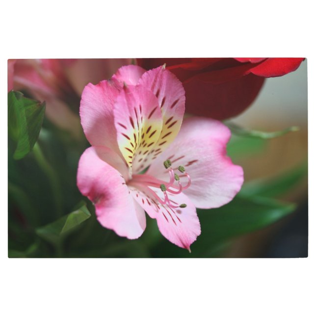 Hermoso Metal Wall Art (Front)