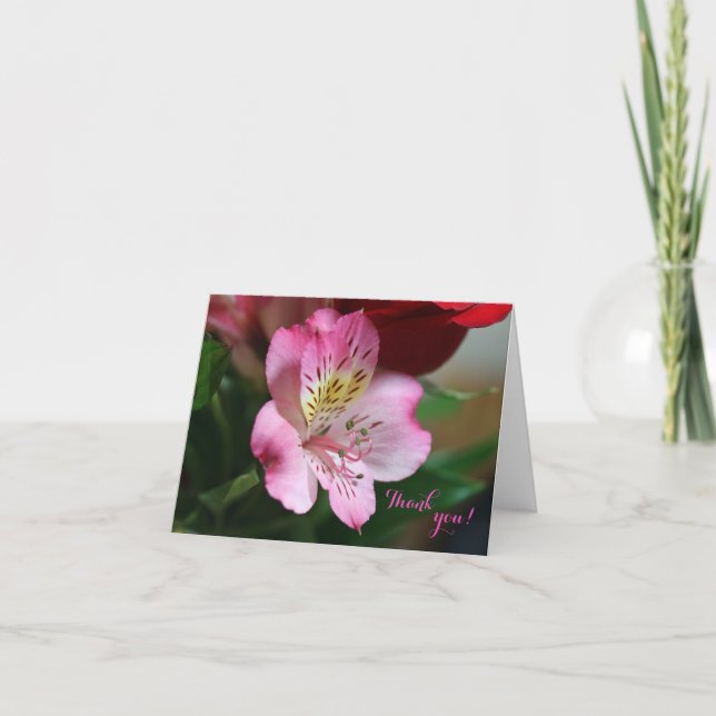 Hermoso Thank You Card (Front)