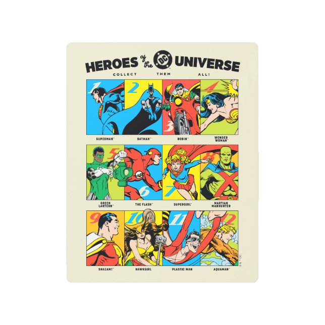 Heroes of the DC™ Universe Metal Print (Front)