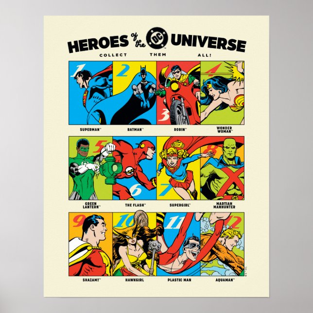 Heroes of the DC™ Universe Poster (Front)