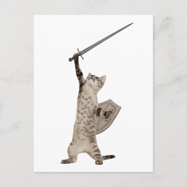 Heroic Warrior Knight Cat Postcard (Front)