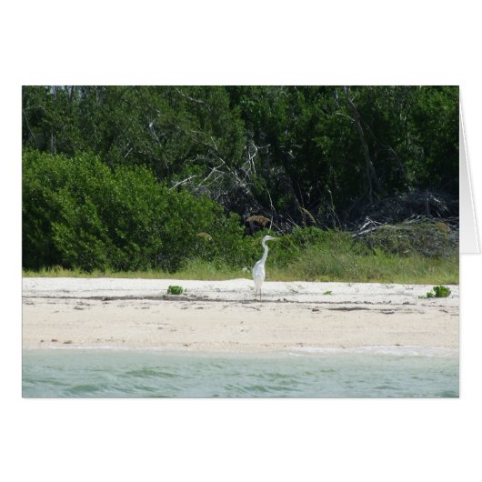 Heron (Front Horizontal)